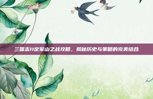 三国志11定军山之战攻略，揭秘历史与策略的完美结合