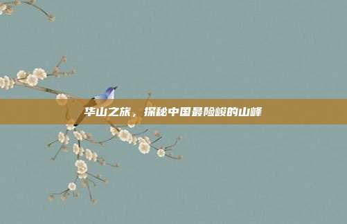 华山之旅，探秘中国最险峻的山峰