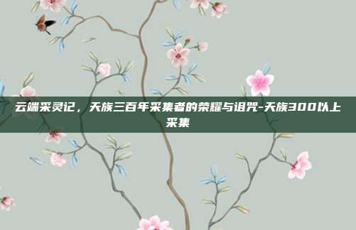 云端采灵记，天族三百年采集者的荣耀与诅咒-天族300以上采集