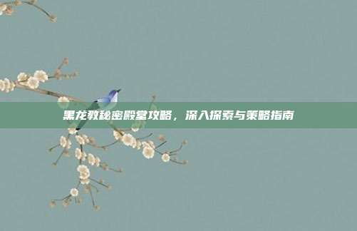 黑龙教秘密殿堂攻略,深入探索与策略指南