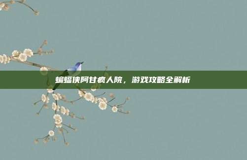蝙蝠侠阿甘疯人院,游戏攻略全解析