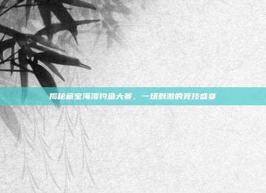 揭秘藏宝海湾钓鱼大赛,一场刺激的竞技盛宴