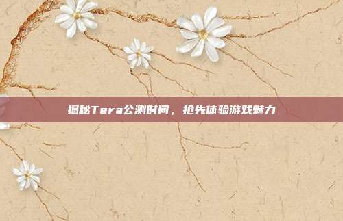 揭秘Tera公测时间，抢先体验游戏魅力