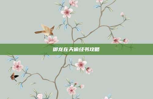 御龙在天偷经书攻略