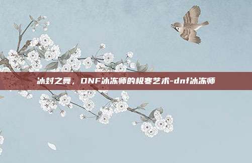 冰封之舞，DNF冰冻师的极寒艺术-dnf冰冻师