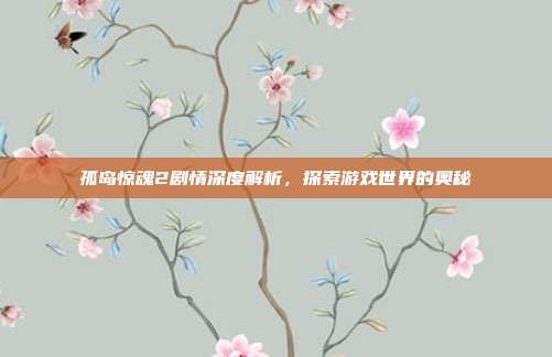 孤岛惊魂2剧情深度解析，探索游戏世界的奥秘