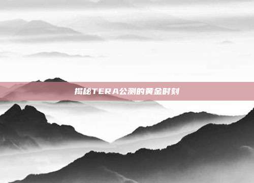 揭秘TERA公测的黄金时刻