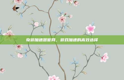 奇游加速器官网，游戏加速的高效选择