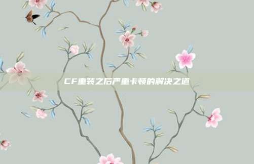 CF重装之后严重卡顿的解决之道