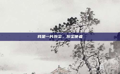 我是一片灰尘。灰尘使者