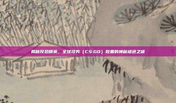 揭秘反恐精英，全球攻势（CS:GO）胶囊的神秘褪色之谜