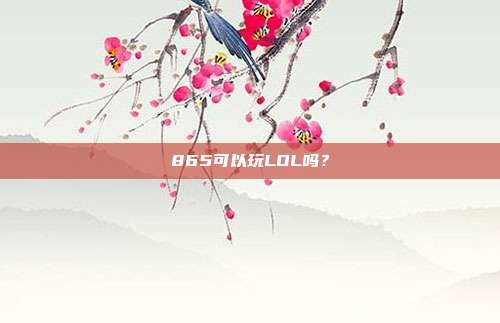 865可以玩LOL吗？