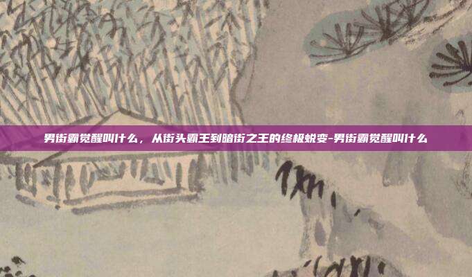 男街霸觉醒叫什么，从街头霸王到暗街之王的终极蜕变-男街霸觉醒叫什么