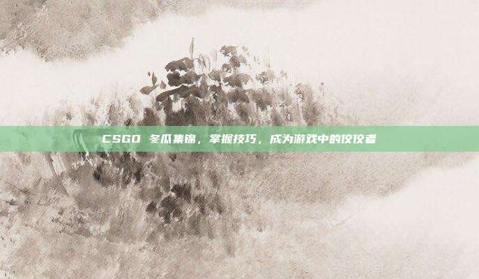 CSGO 冬瓜集锦，掌握技巧，成为游戏中的佼佼者