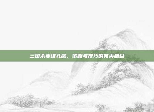 三国杀姜维孔融，策略与技巧的完美结合