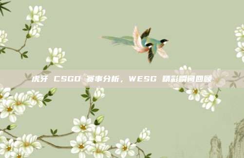 虎牙 CSGO 赛事分析，WESG 精彩瞬间回顾