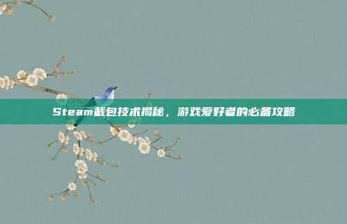 Steam截包技术揭秘，游戏爱好者的必备攻略