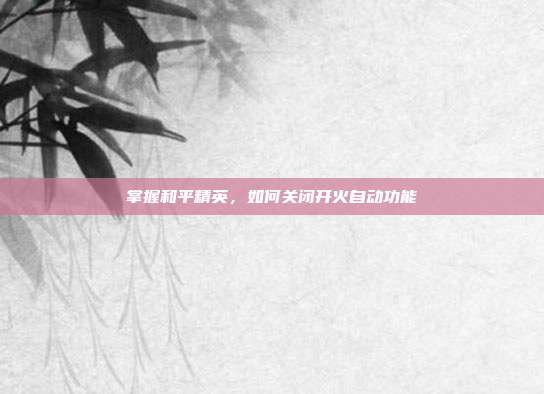 掌握和平精英，如何关闭开火自动功能