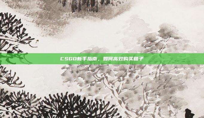 CSGO新手指南，如何高效购买箱子