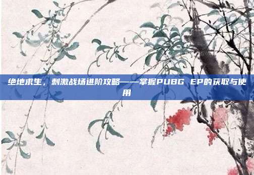 绝地求生，刺激战场进阶攻略——掌握PUBG EP的获取与使用