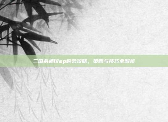 三国杀杨仪sp赵云攻略，策略与技巧全解析