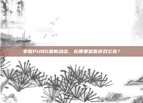 掌握PUBG最新动态，在哪里查看游戏公告？