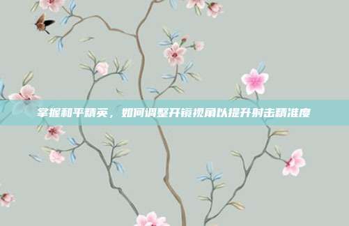 掌握和平精英，如何调整开镜视角以提升射击精准度