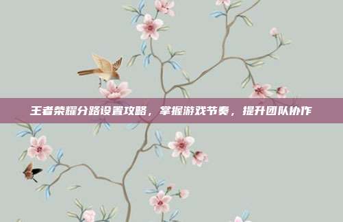 王者荣耀分路设置攻略，掌握游戏节奏，提升团队协作