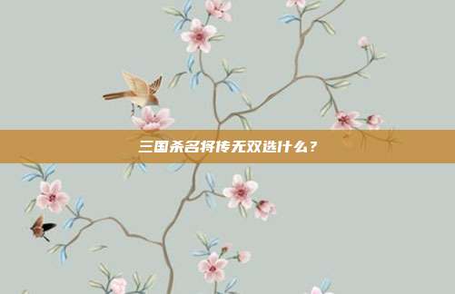 三国杀名将传无双选什么？