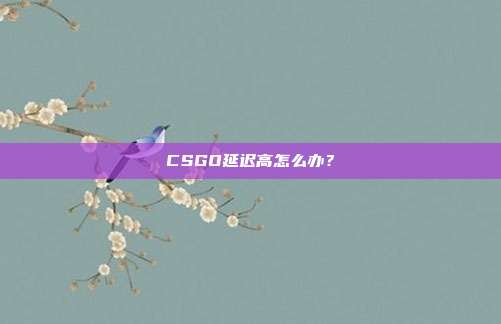 CSGO延迟高怎么办？
