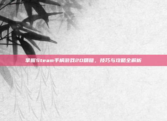 掌握Steam手柄游戏2D精髓，技巧与攻略全解析