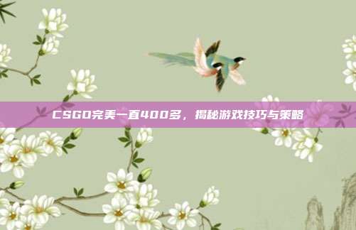 CSGO完美一直400多，揭秘游戏技巧与策略