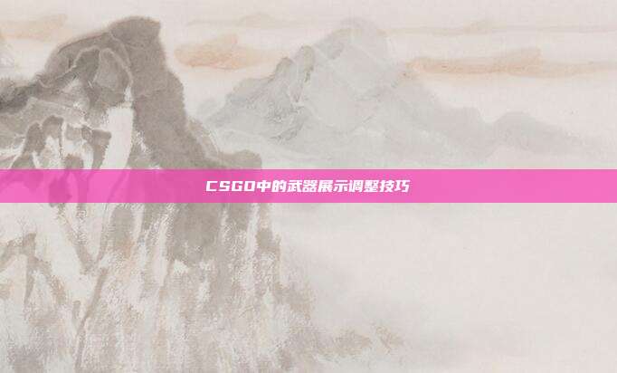 CSGO中的武器展示调整技巧