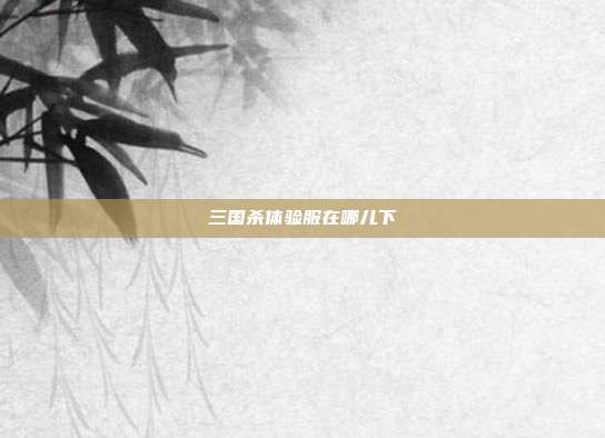 三国杀体验服在哪儿下