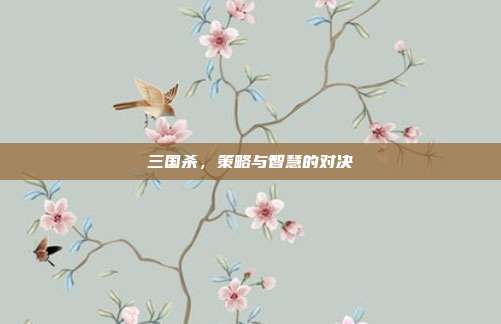 三国杀，策略与智慧的对决