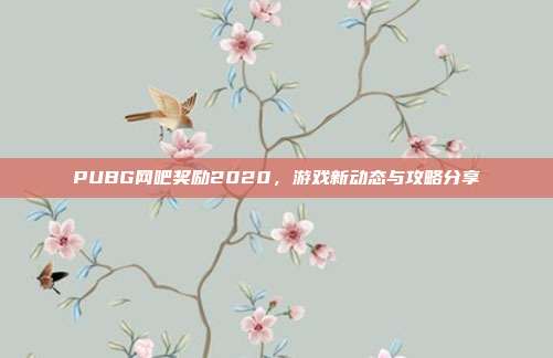 PUBG网吧奖励2020，游戏新动态与攻略分享