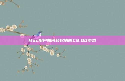 Mac用户如何轻松删除CS:GO游戏