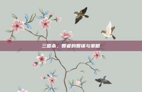 三国杀，智者的智谋与策略