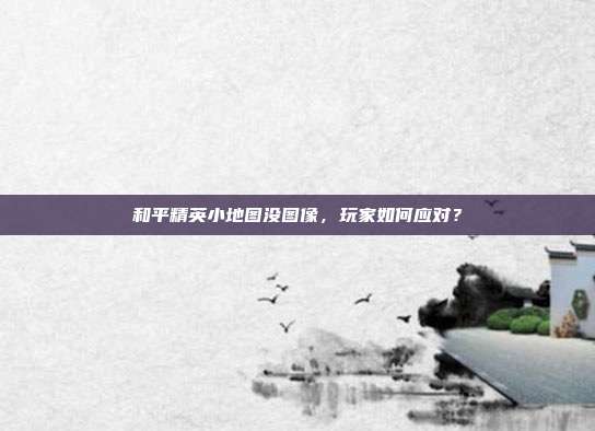和平精英小地图没图像，玩家如何应对？