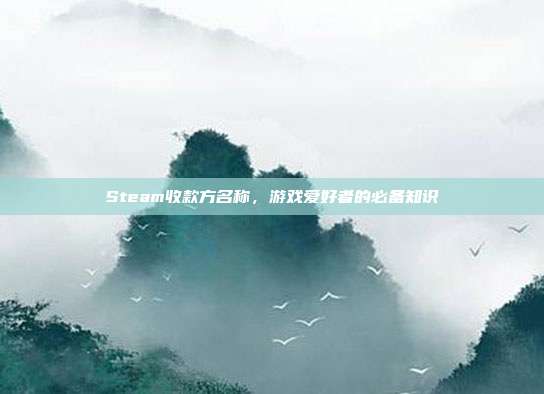 Steam收款方名称，游戏爱好者的必备知识