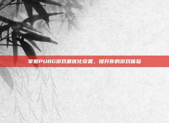 掌握PUBG游戏最优化设置，提升你的游戏体验