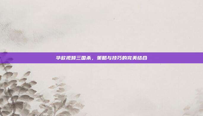 华歆视频三国杀，策略与技巧的完美结合