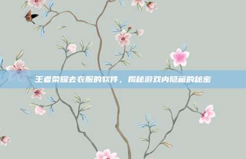 王者荣耀去衣服的软件，揭秘游戏内隐藏的秘密