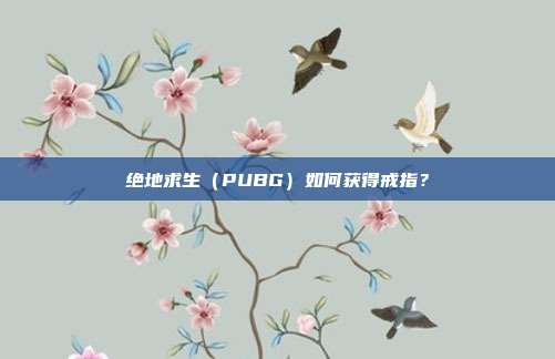 绝地求生（PUBG）如何获得戒指？