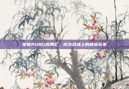 掌握PUBG应用汇，成为战场上的精英玩家
