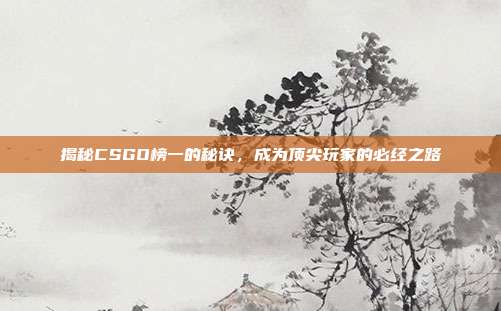 揭秘CSGO榜一的秘诀，成为顶尖玩家的必经之路