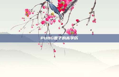 PUBG圈子的高学历