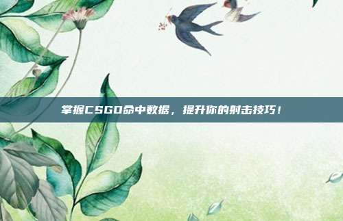 掌握CSGO命中数据，提升你的射击技巧！