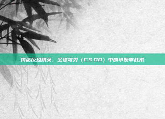 揭秘反恐精英，全球攻势（CS:GO）中的小奶羊战术