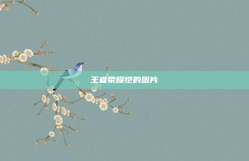 王者荣耀恺的图片